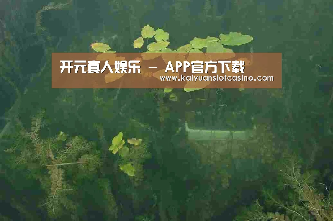 案例展示三