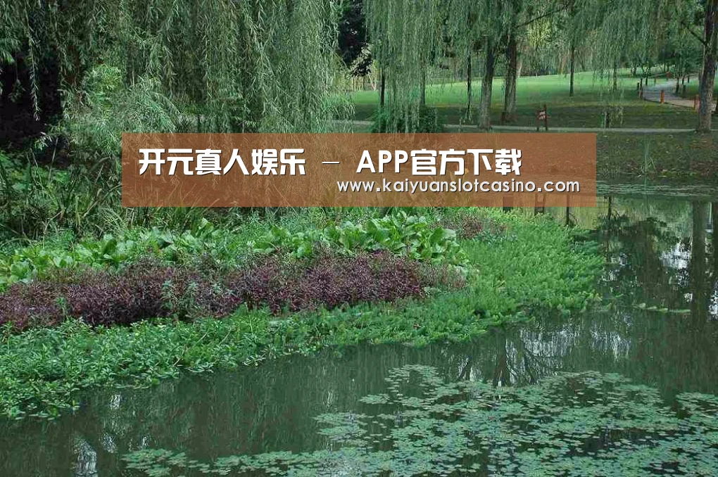 案例展示一