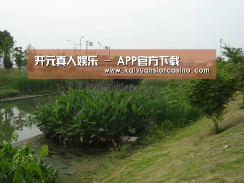 案例展示四