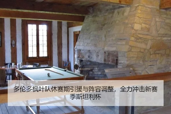 多伦多枫叶队休赛期引援与阵容调整，全力冲击新赛季斯坦利杯