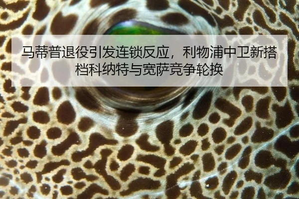 马蒂普退役引发连锁反应，利物浦中卫新搭档科纳特与宽萨竞争轮换