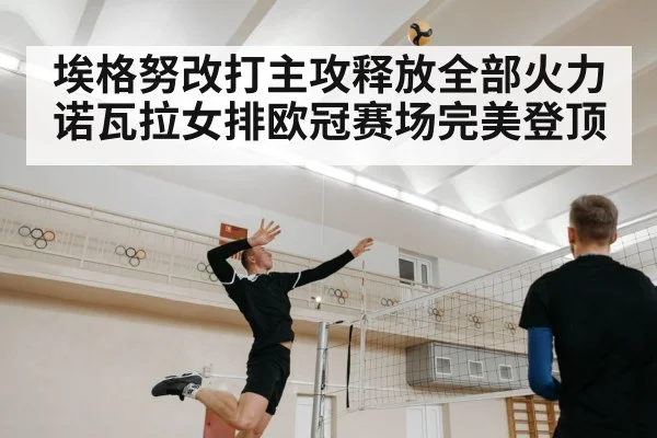 埃格努改打主攻释放全部火力 诺瓦拉女排欧冠赛场完美登顶