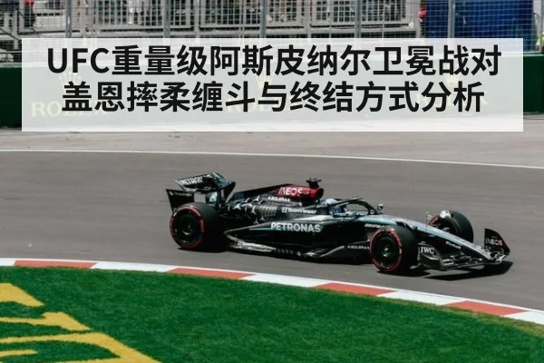 UFC重量级阿斯皮纳尔卫冕战对盖恩摔柔缠斗与终结方式分析